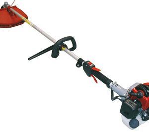 DECESPUGLIATORE STARS LIVE 26