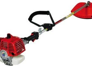 DECESPUGLIATORE BLUEBIRD P370