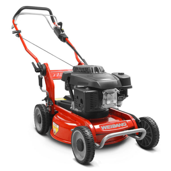 RASAERBA WEIBANG WB466SCM