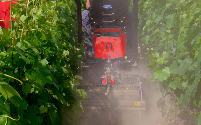 fort-vision-fresa-interassi-01